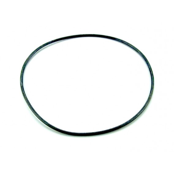 O-ring 255x4 filter AstralPool 4404020116