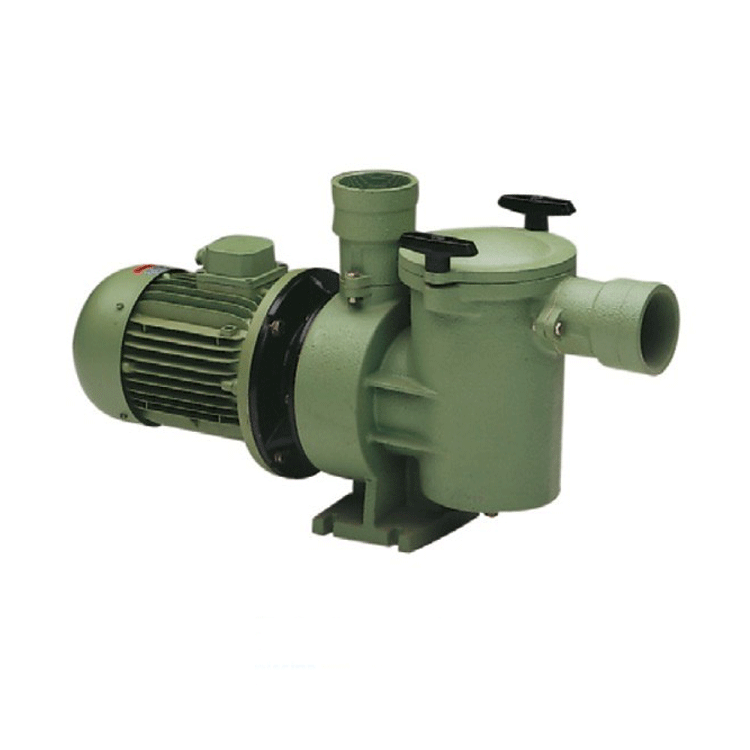 Aral SP-3000 Astralpool Pumpe