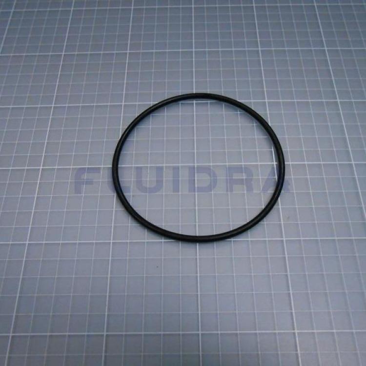 O-Ring-Pumpe Maxim 100x4 4405010376
