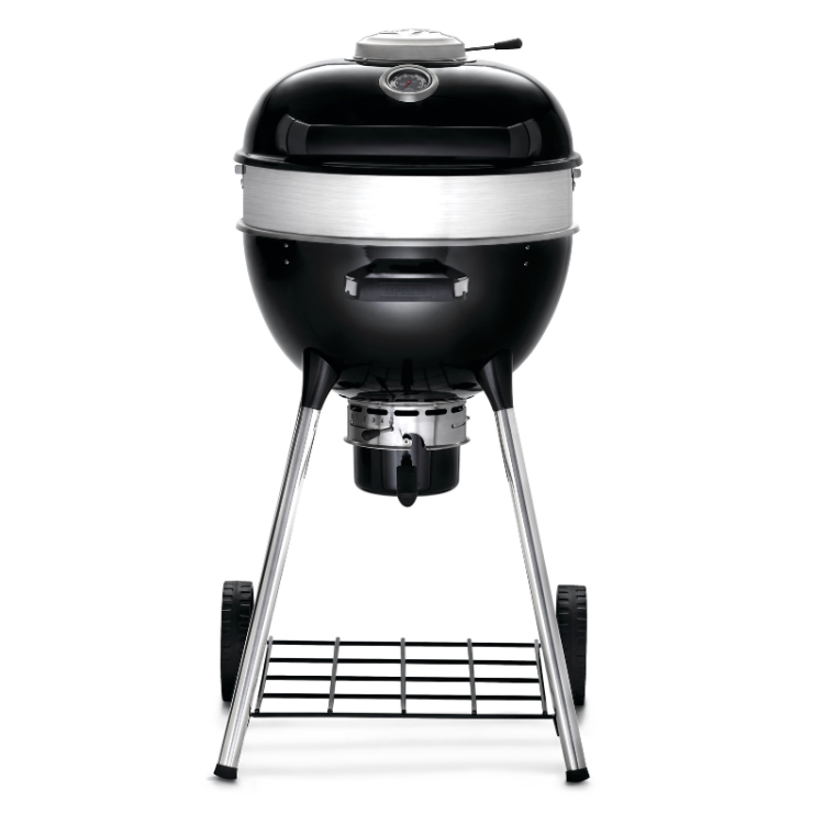 Barbacoa Napoleon de carbon PRO18