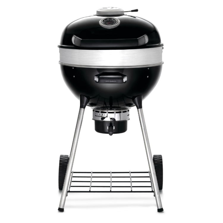 Barbacoa Napoleon de carbon PRO22