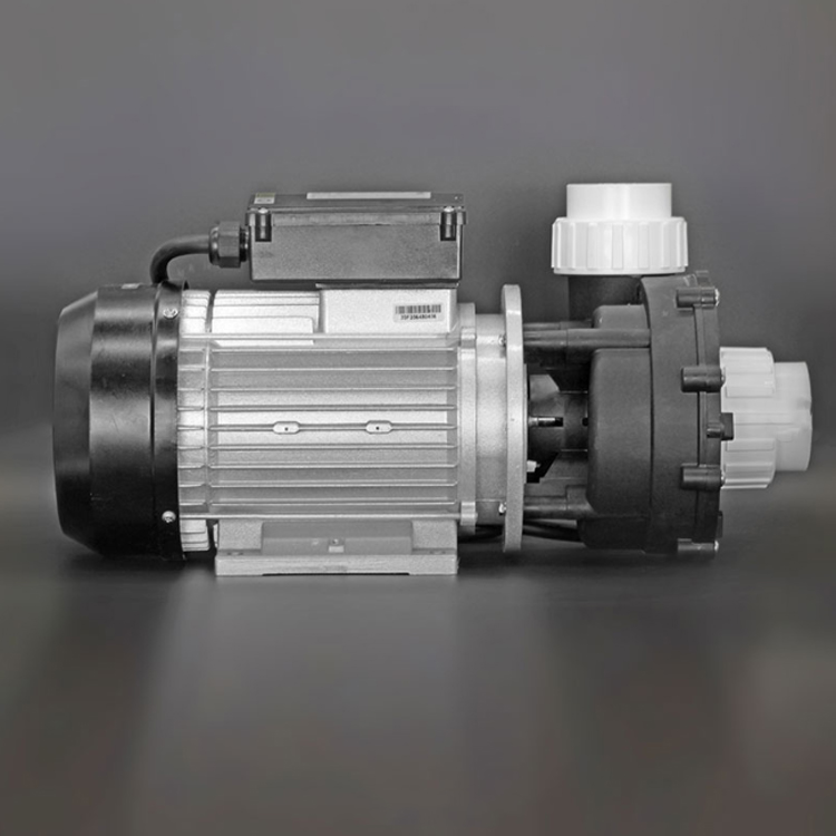 HydroMassage Pump 3.0 CV 2 Geschwindigkeit