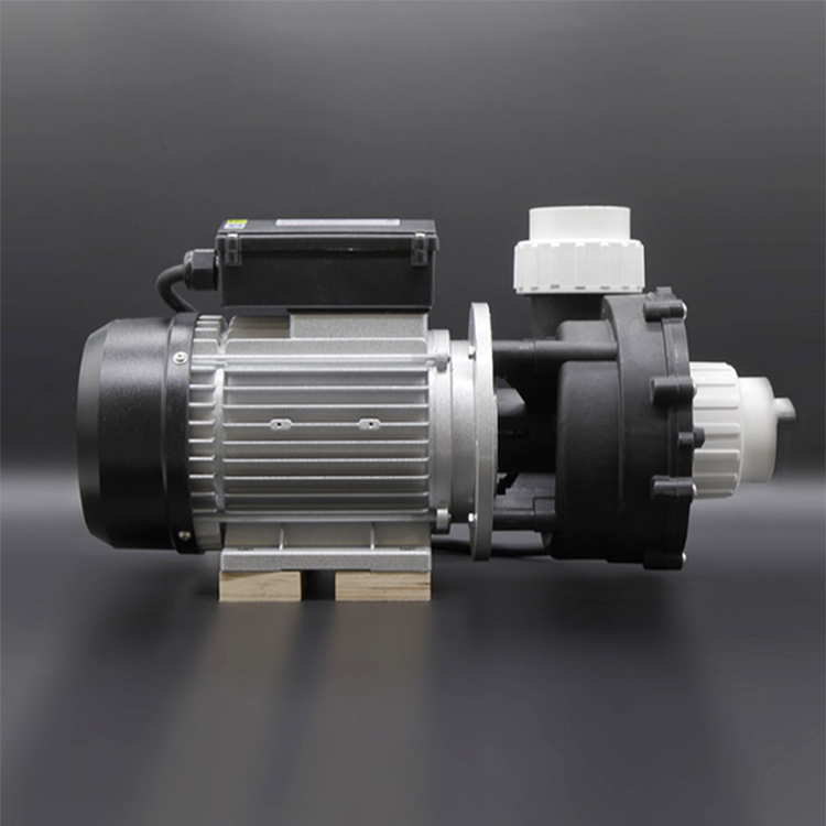 HydroMassage Pump 3.0 CV