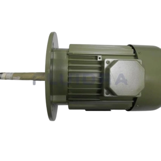 Motore centrifugo pompa Aral C-1500 AstralPool