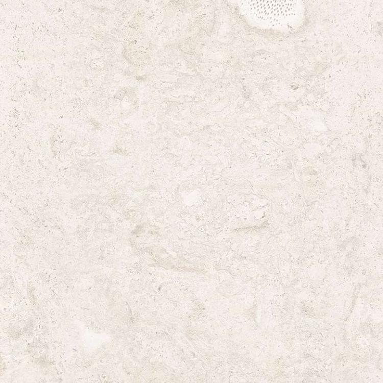 Ceramica Mayor Base Coralina Aguada
