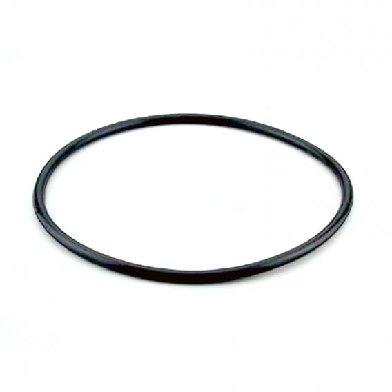 Junta COVER FILTER Berlin AstralPool 4404070101