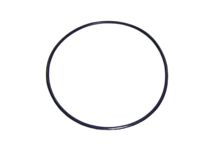 O-ring pentru pompa Maxim 124x3.5 4405010377