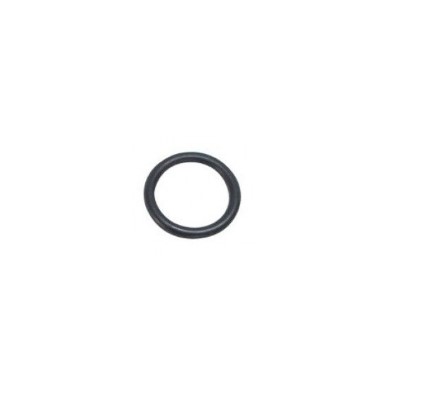 O-Ring pour le côté Hb O-Ring de la trappe du filtre Hayward