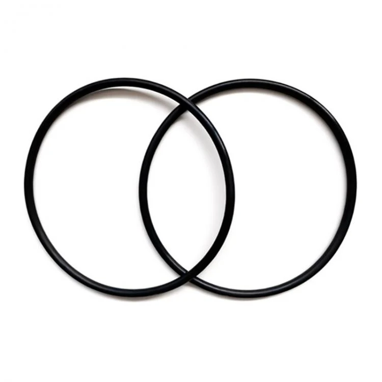 Zodiac TRi O-Ring Dichtung (2er Pack) R0739000