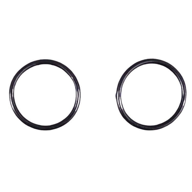 O-ring O-ring EPDM 65 uitlaat AstralPool 4404301901
