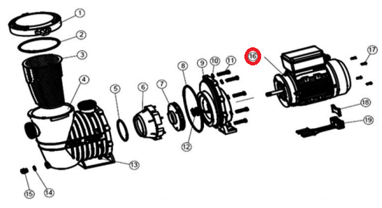 Motore della pompa Liberty Prodotti QP