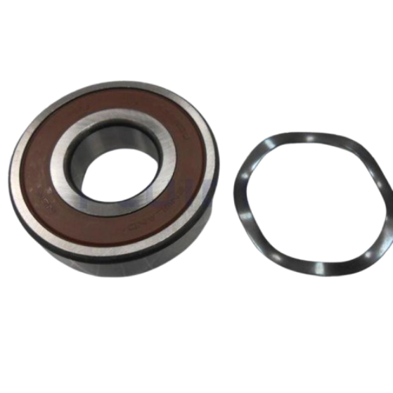 Bearings 2RSR 5.5 CV centrifugal pump Aral C-1500 AstralPool 4405020442