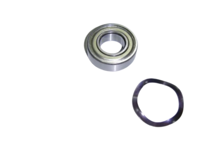 Pompa cuscinetto Aral SP-3000, C-3000, C-1500 AstralPool